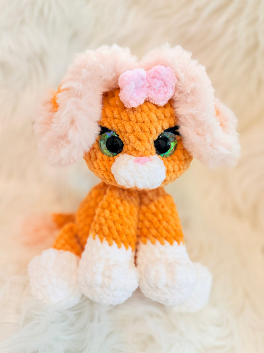 Mailey - the Sweet Kitty