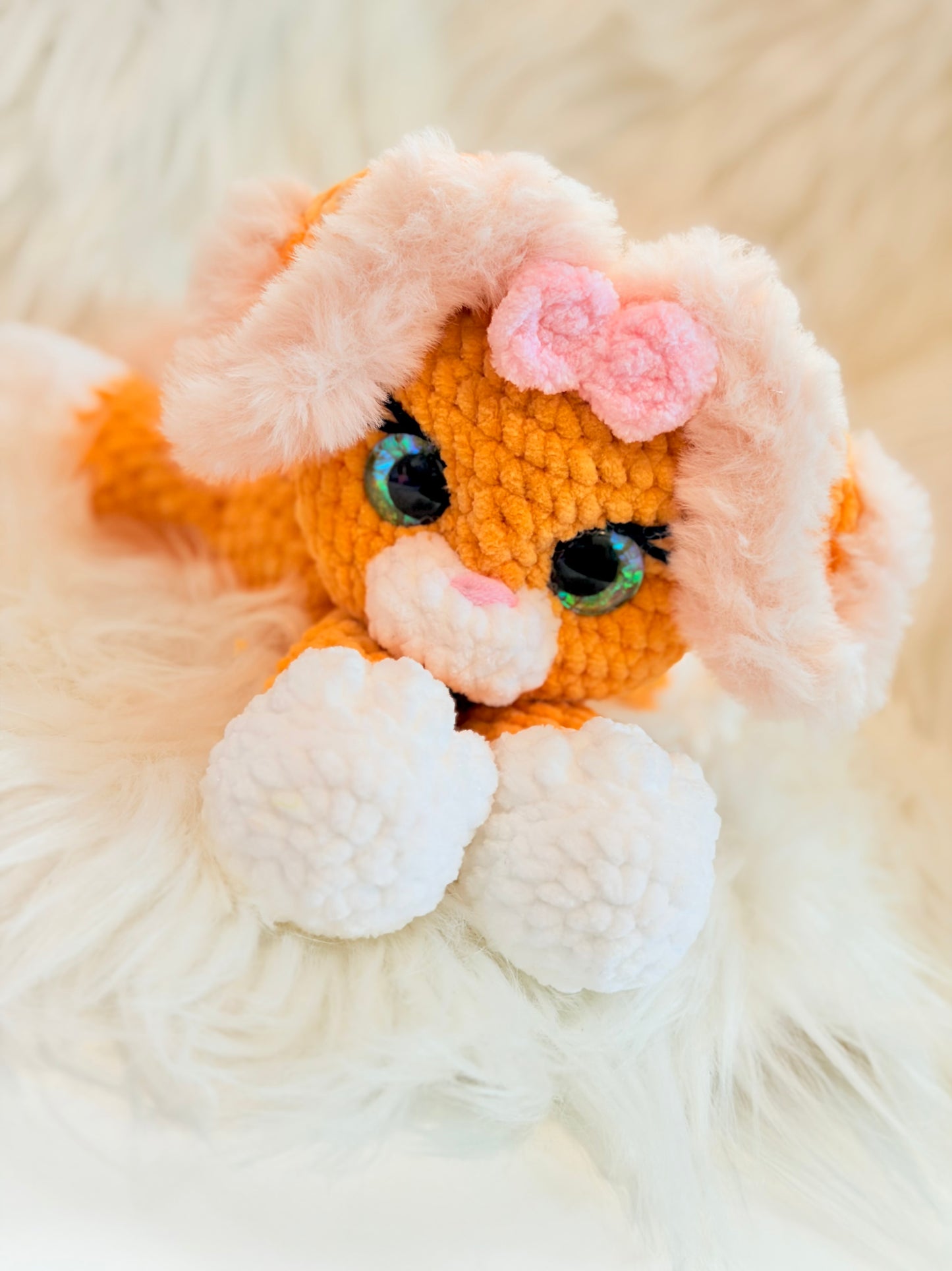 Mailey - the Sweet Kitty